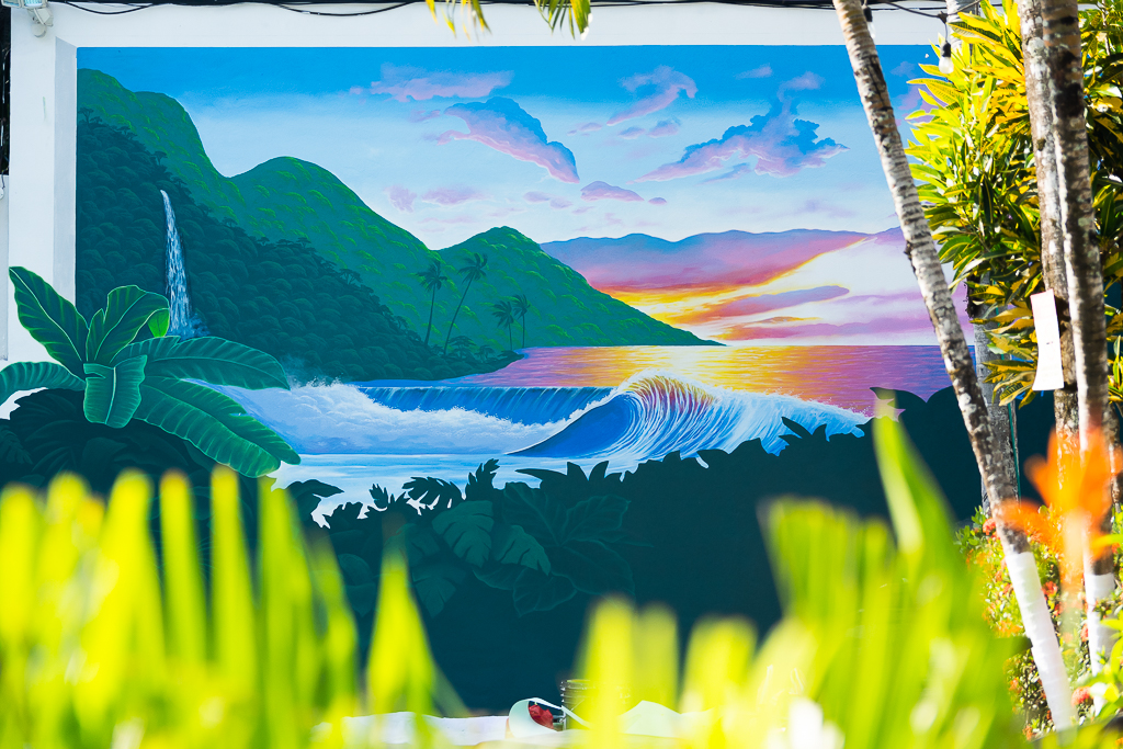 Pool mural by Roman, full wall