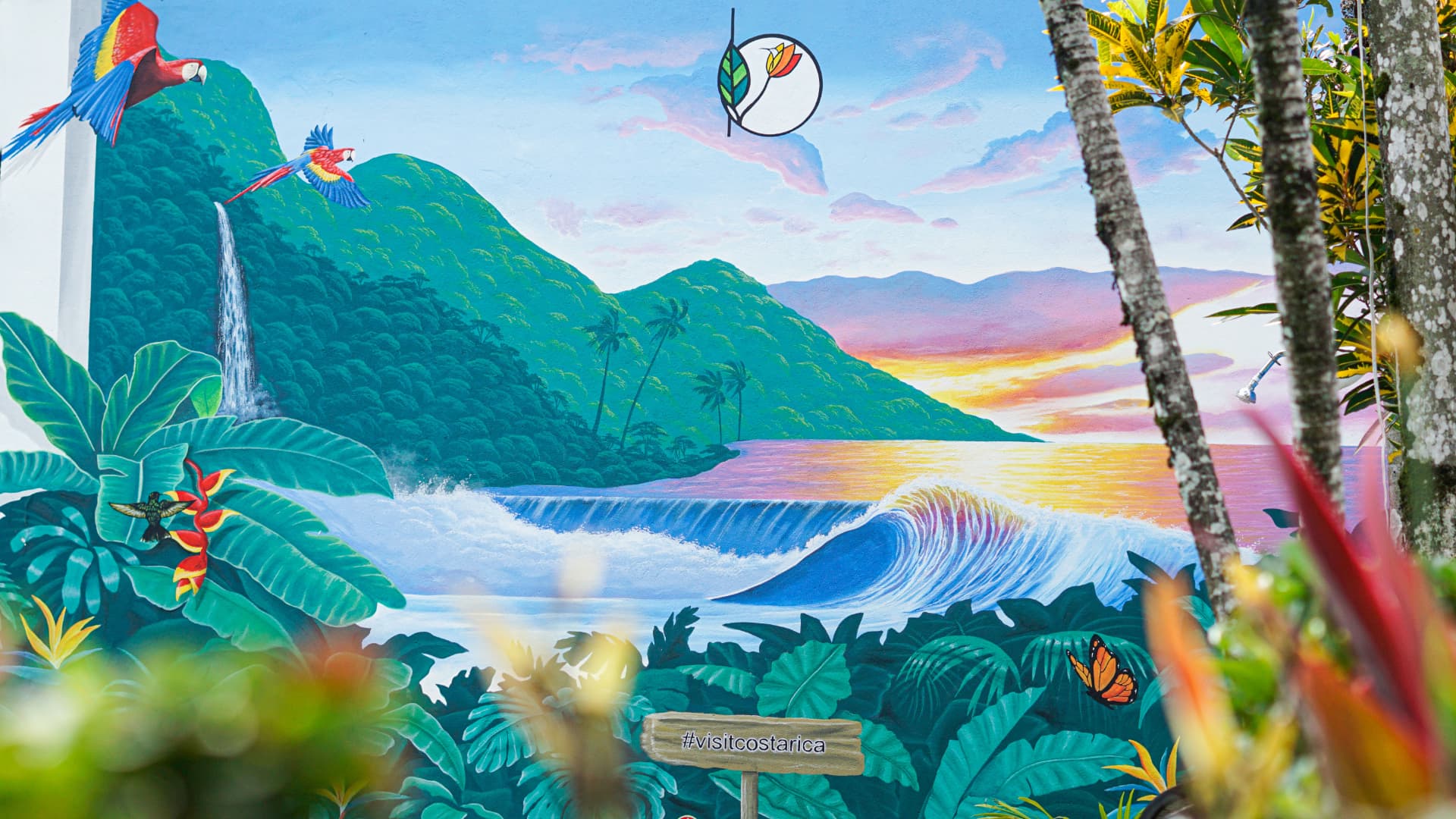 Birds in flight, pool wall by Roman