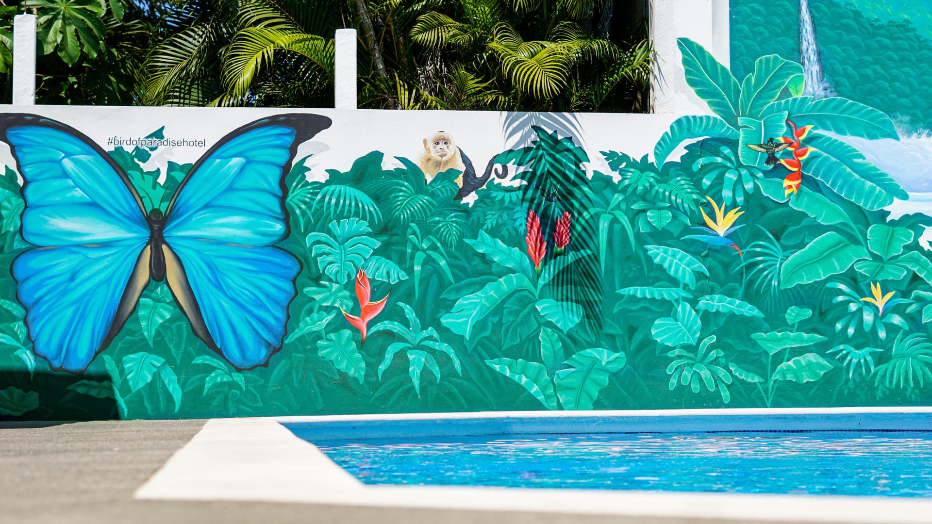 Pool mural detail by Roman
