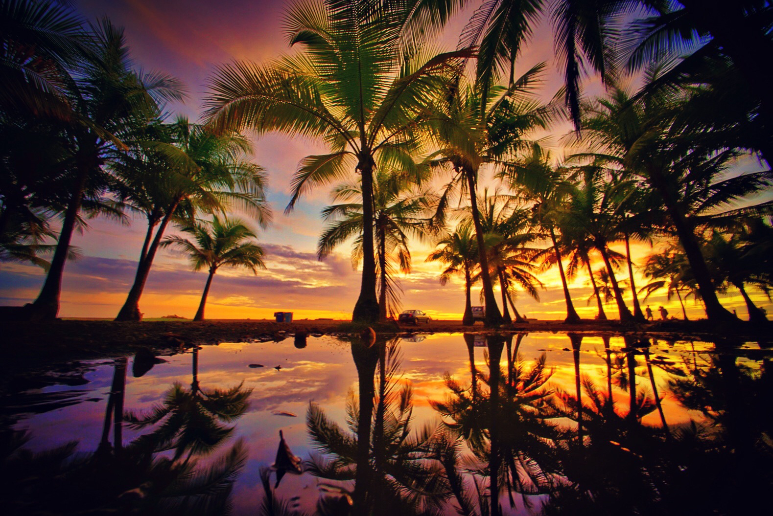 Tortuga Island