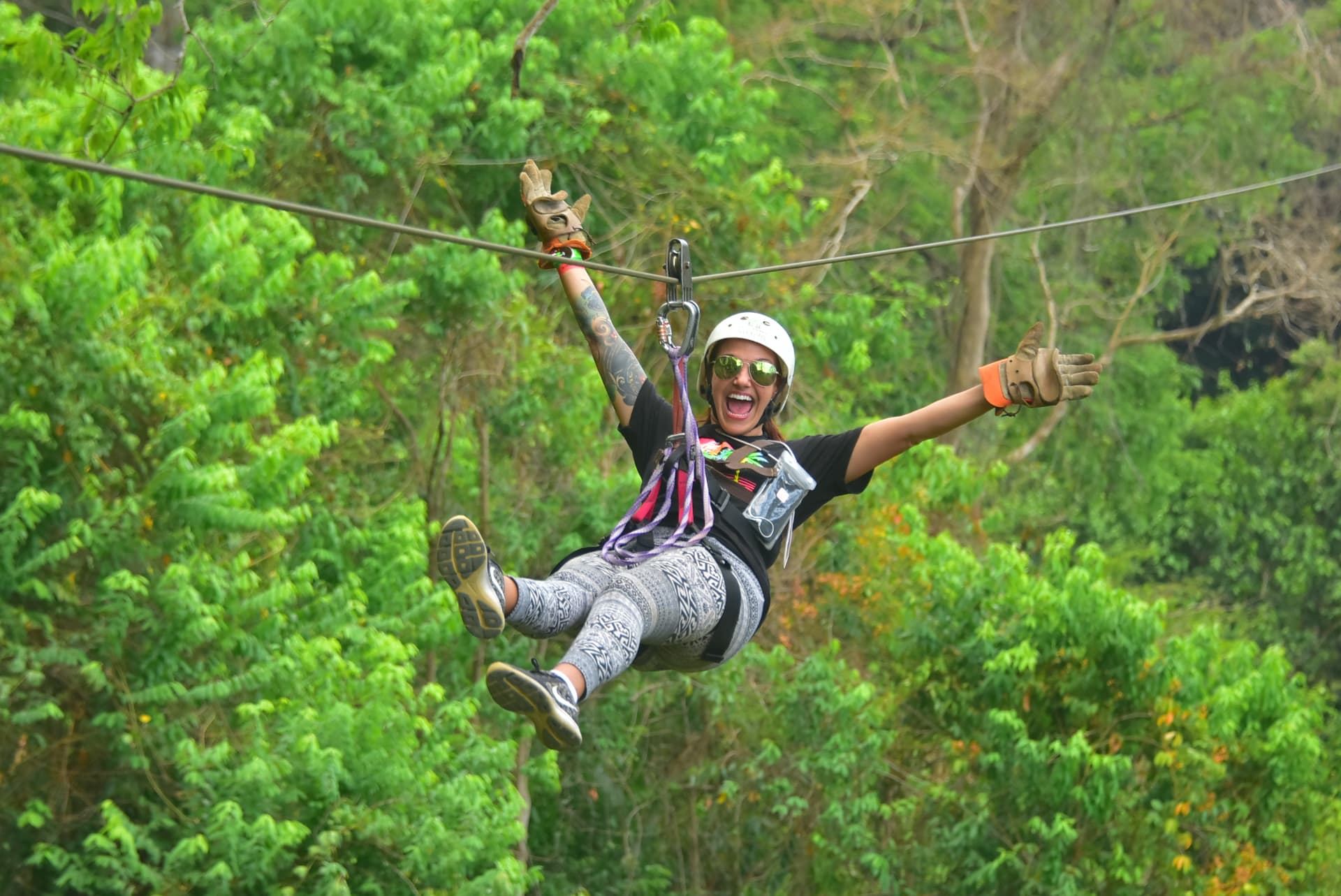 Zip Line