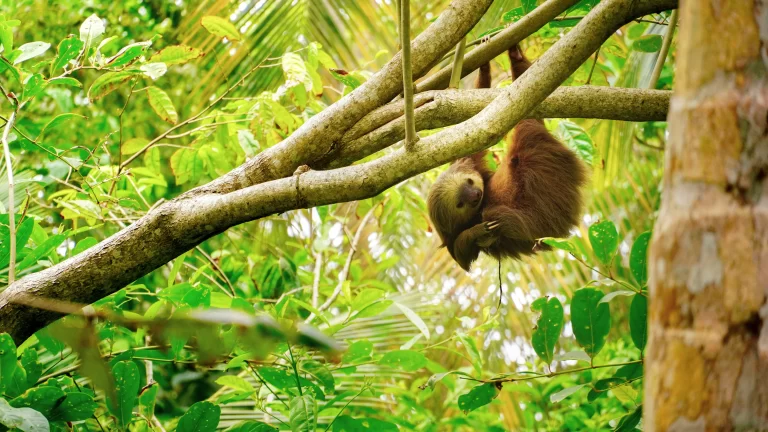 Manuel Antonio Park