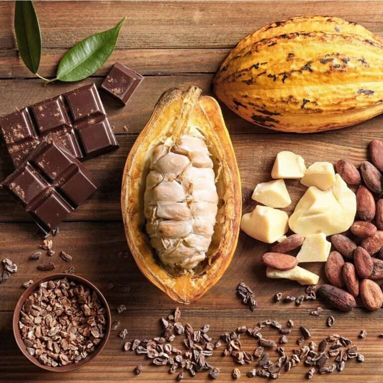 Chocolate Experience