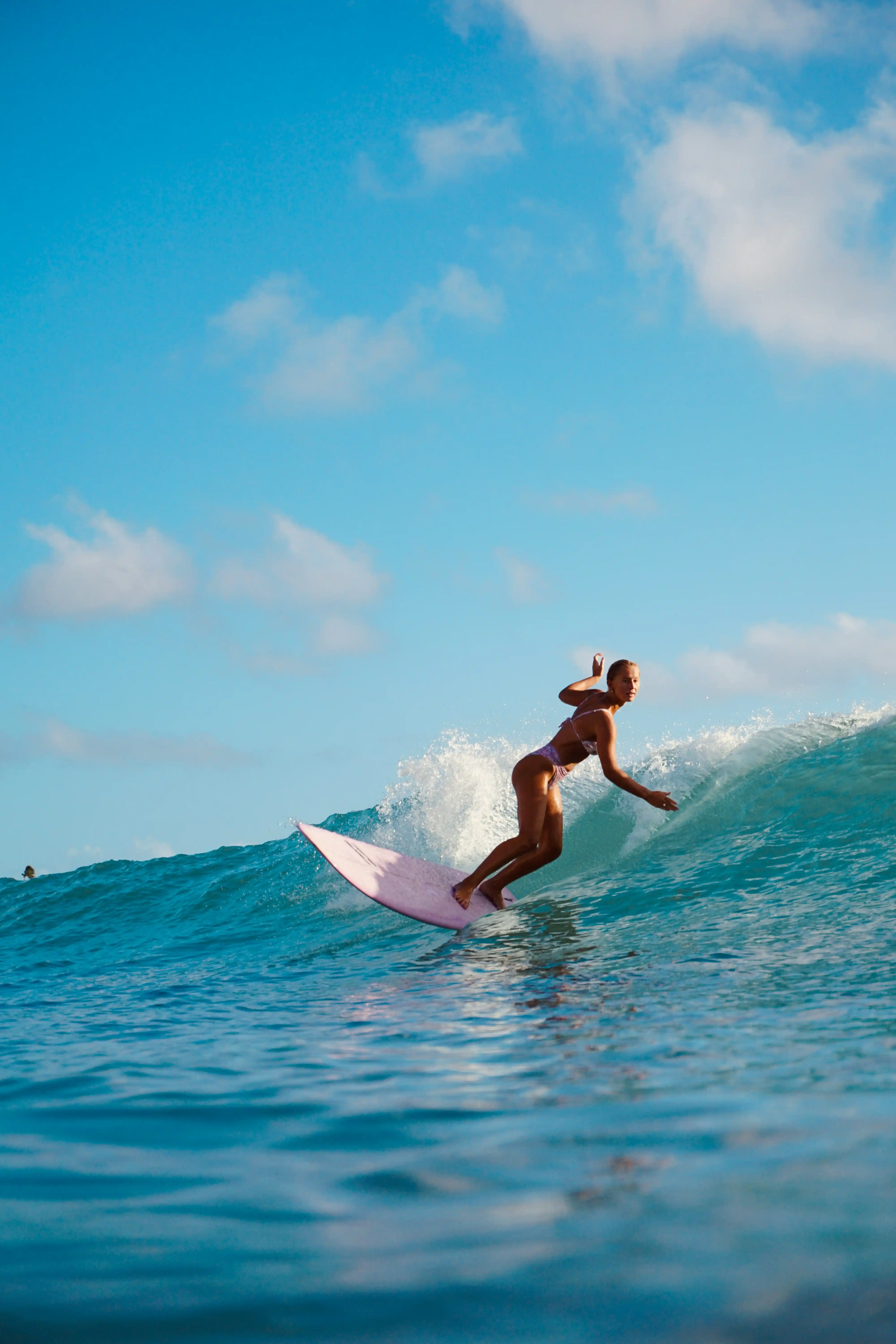 Paradise Freestyle Surf Experience Signature Core