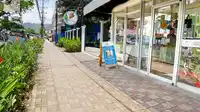 Walk Everywhere
